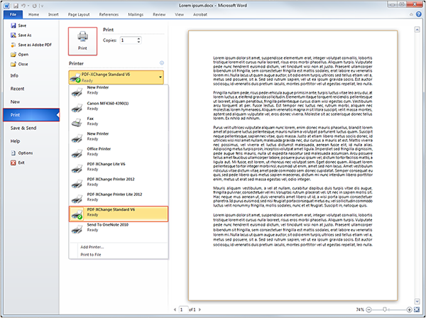 Ms Office 2003 Professional