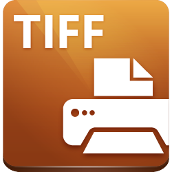 Convert .1sc File To Tiff